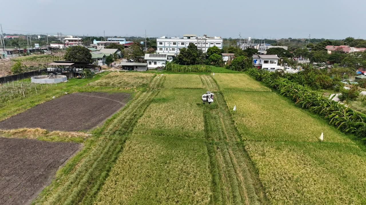 Luftfoto over Agri-Farmen ved Håpets Havn, med sykehuset og førskolen i bakgrunnen.